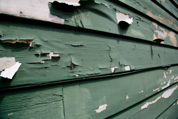 Best Stone Veneer Siding  in Hastings, MI