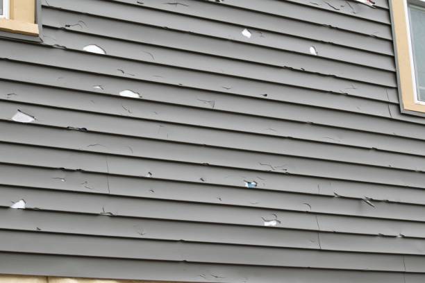 Best Wood Siding Installation  in Hastings, MI