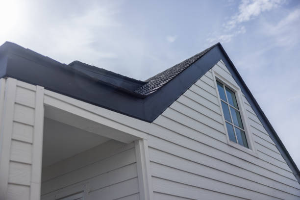 Best Insulated Siding Installation  in Hastings, MI
